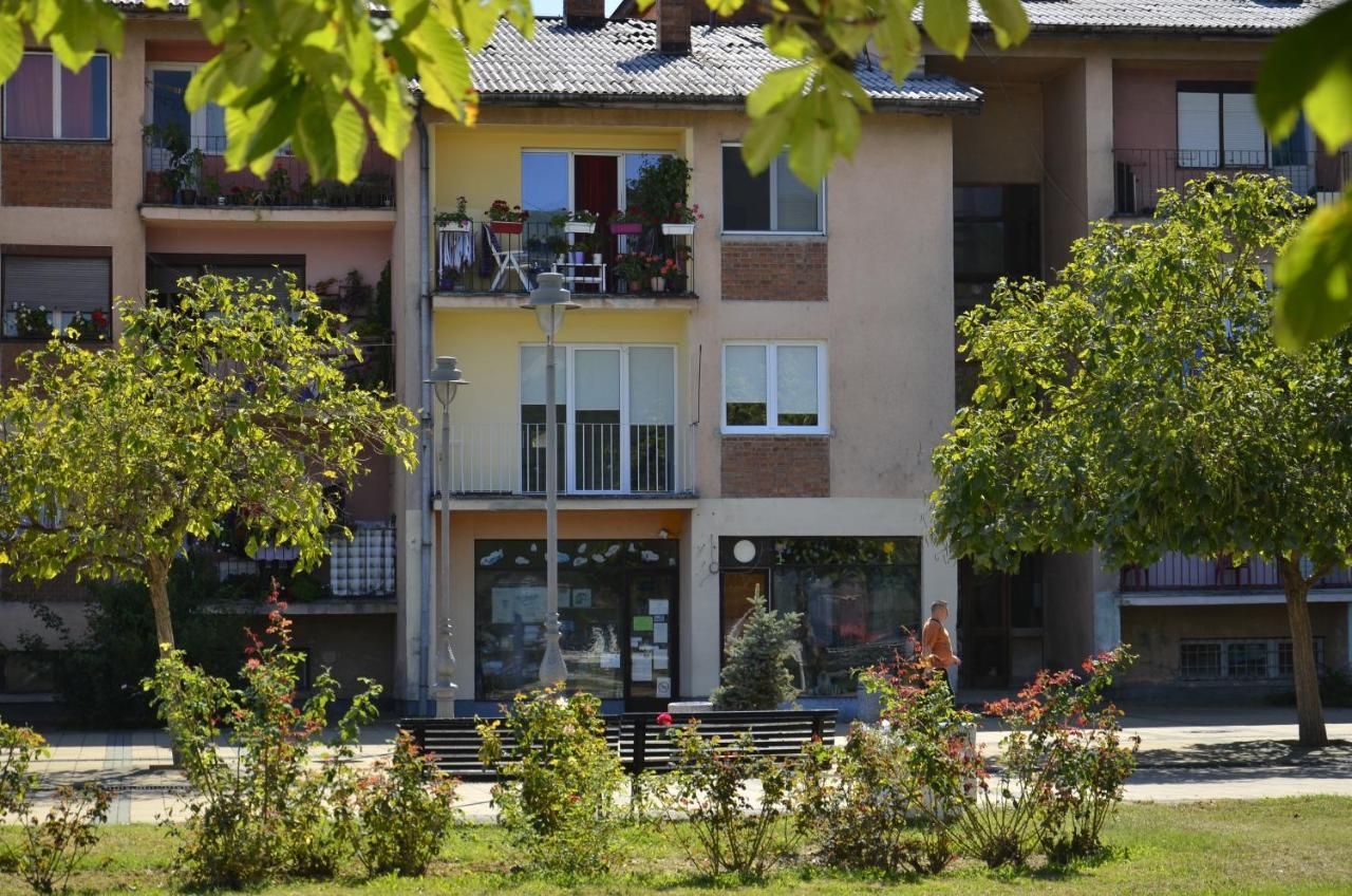 Apartman Terassa Долни Милановац Екстериор снимка