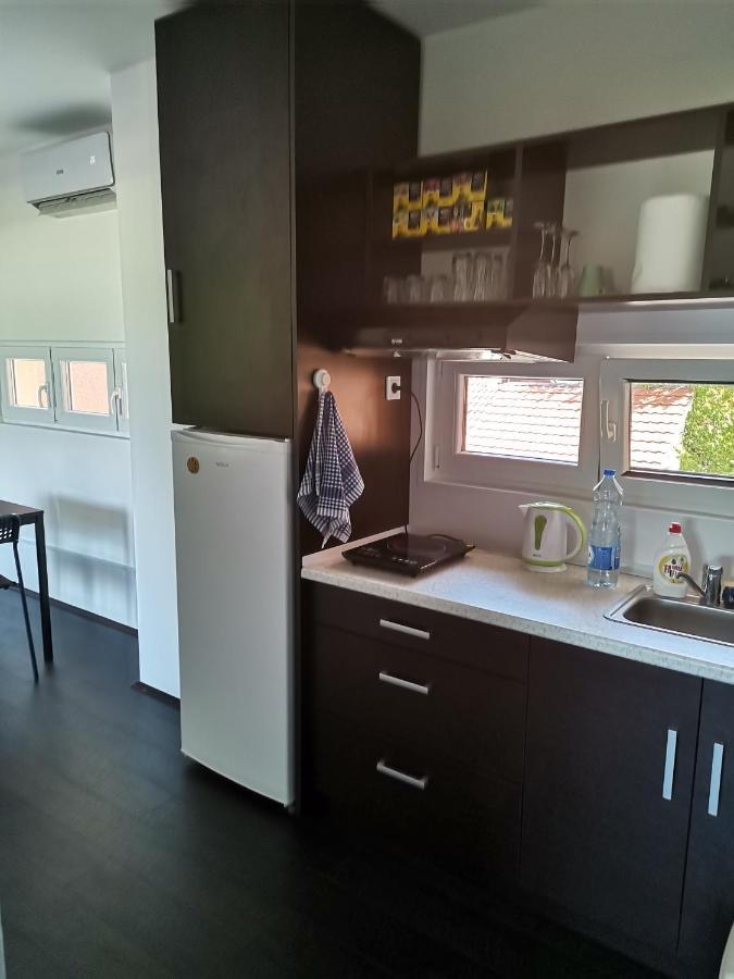 Apartman Terassa Долни Милановац Екстериор снимка